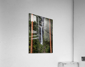  Yosemite Lower Falls  Acrylic Print