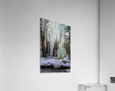 Winter freeze at Lutsen  Acrylic Print