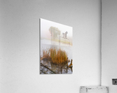 Crane over inland waters   Acrylic Print