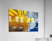 Bee on sunflower  Acrylic Print