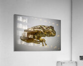 Tree frog  Acrylic Print
