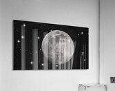 Full Moon  Acrylic Print