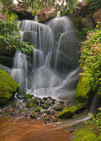Water Falls at MnArboretum Digital Download