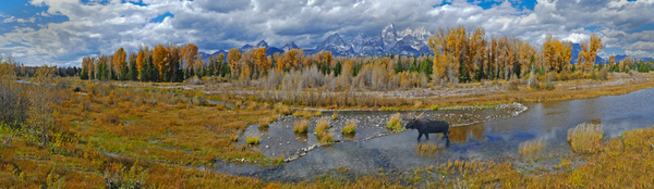 The Snake River near the Tetons Digital Download