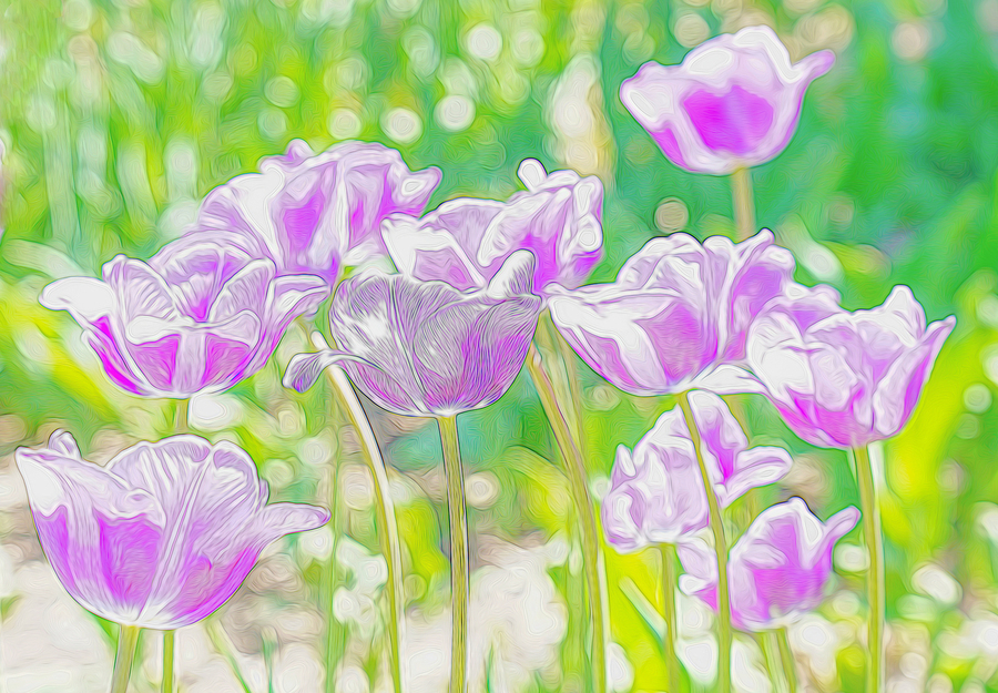 Purple tulip fantasy  Print