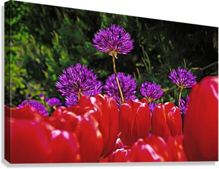 Flowers of color  Canvas Print