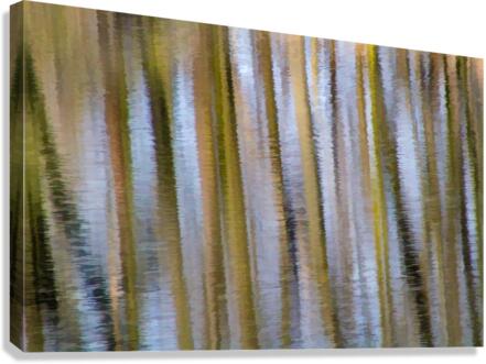 Ripples of the forest  Canvas Print