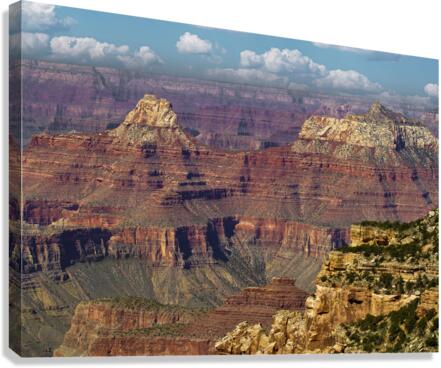  The Grand Canyon  Canvas Print