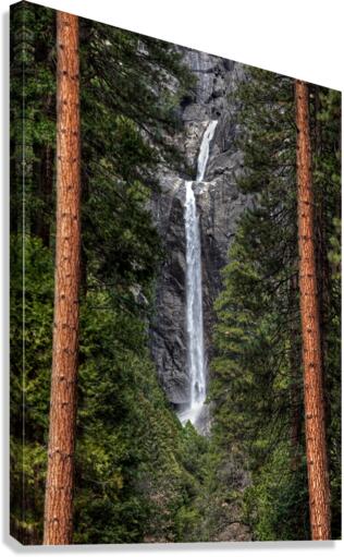  Yosemite Lower Falls  Canvas Print