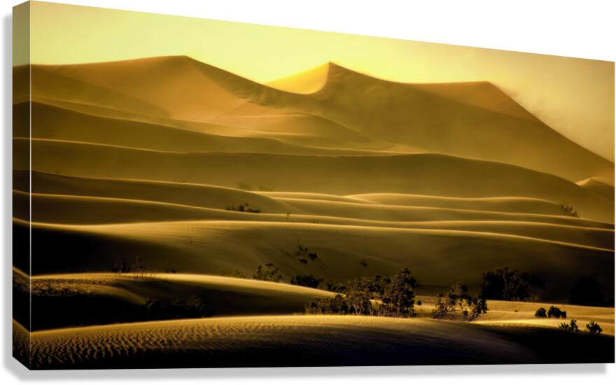 Mesquite Sand Dunes  Canvas Print