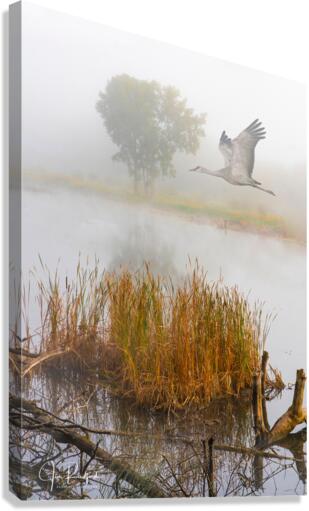 Crane over inland waters   Canvas Print