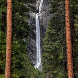  Yosemite Lower Falls