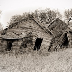 Abandoned farm