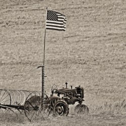 Flag on a Tractor