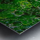 Water Drops Metal print