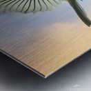 Chickadee on the wing Metal print