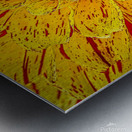 Multicolored Dahlia Metal print