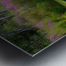 Mallard in flower pond Metal print