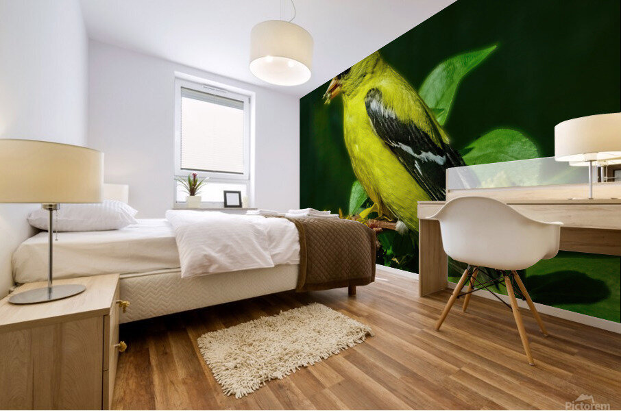 Goldfinch Feeding Mural print
