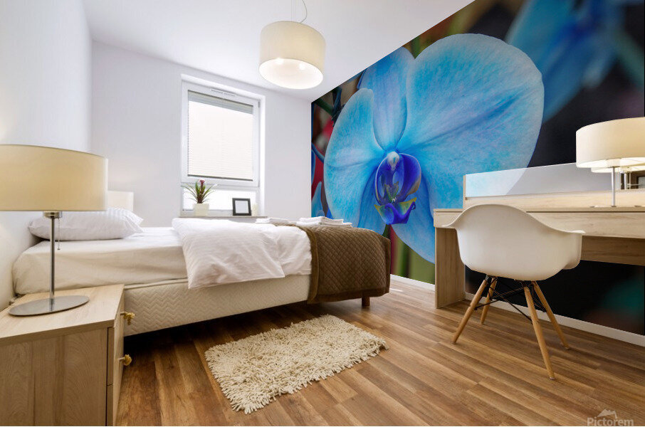 Blue Orchid Mural print