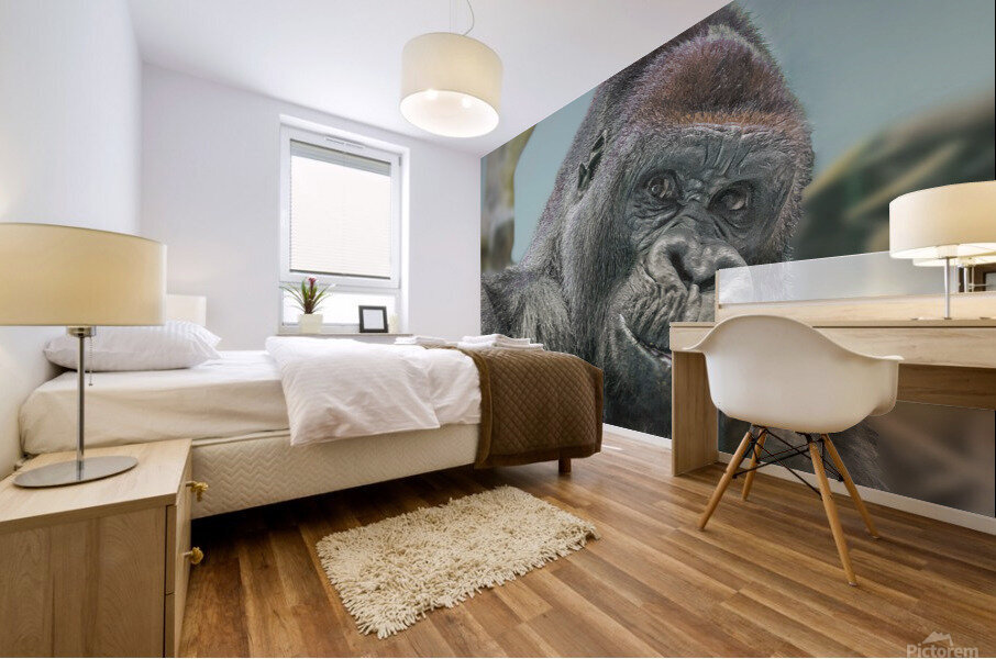 Gorilla Mural print