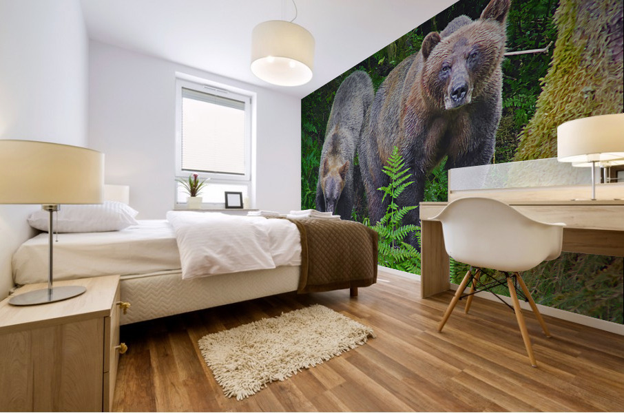 Alaskan Grizzly Bears Mural print