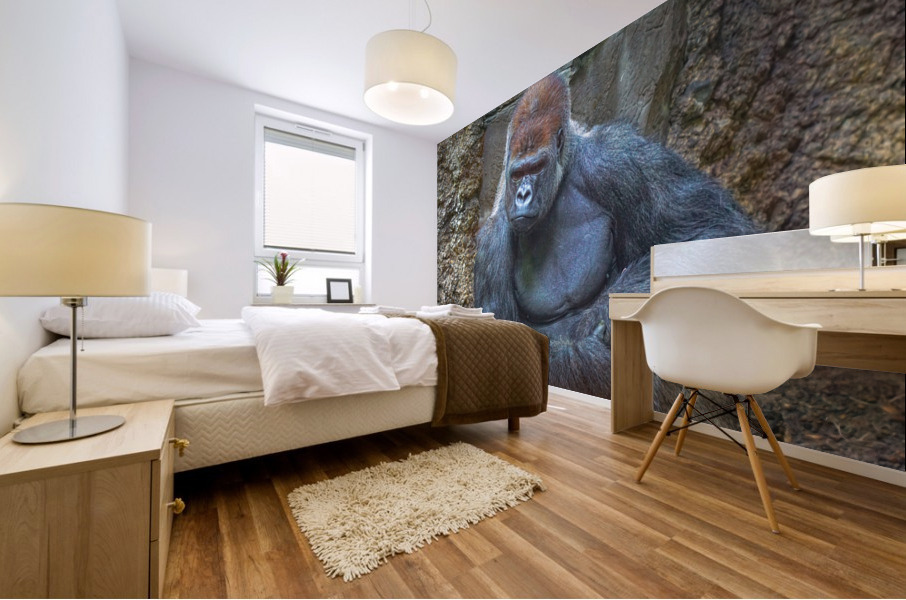 Lowland gorilla Mural print