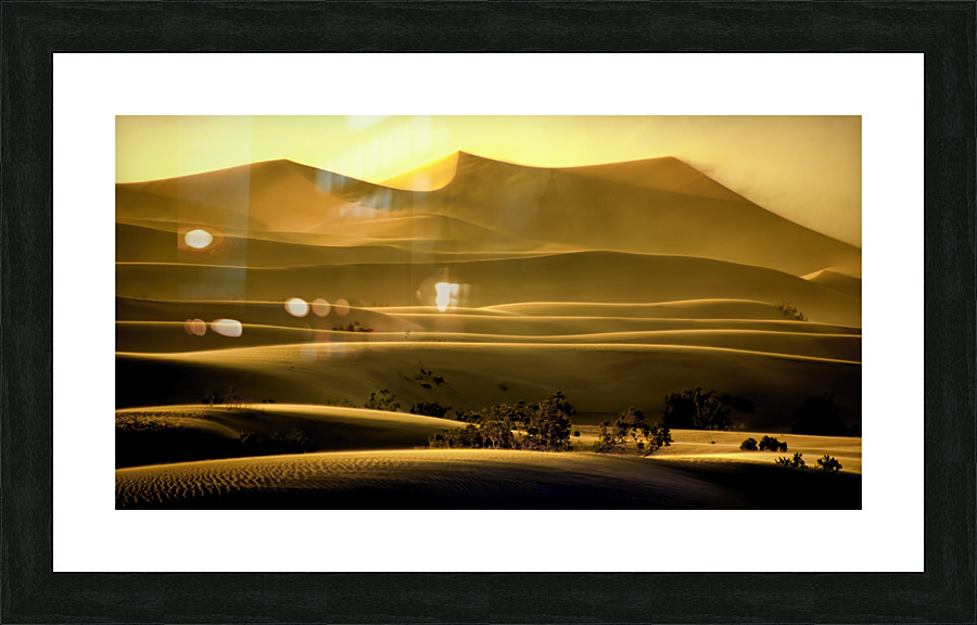 Mesquite Sand Dunes  Framed Print Print