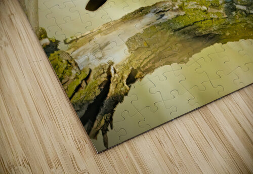 Wood duck Jim Radford puzzle