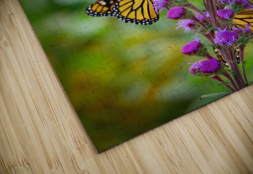 Hummer and butterflys Jim Radford puzzle
