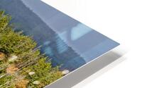 Aspen on display HD Metal print