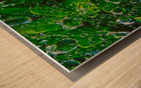 Water Drops Wood print