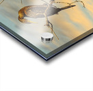 Cormorant at Dusk Acrylic print