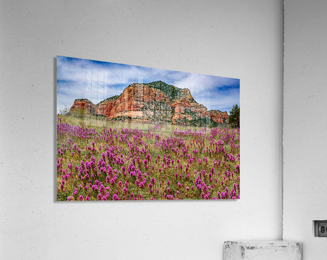 Clover Fields in Sedona  Acrylic Print 