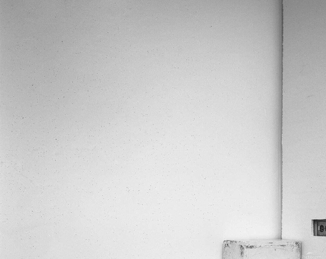 Dandelion Pappus Acrylic Print