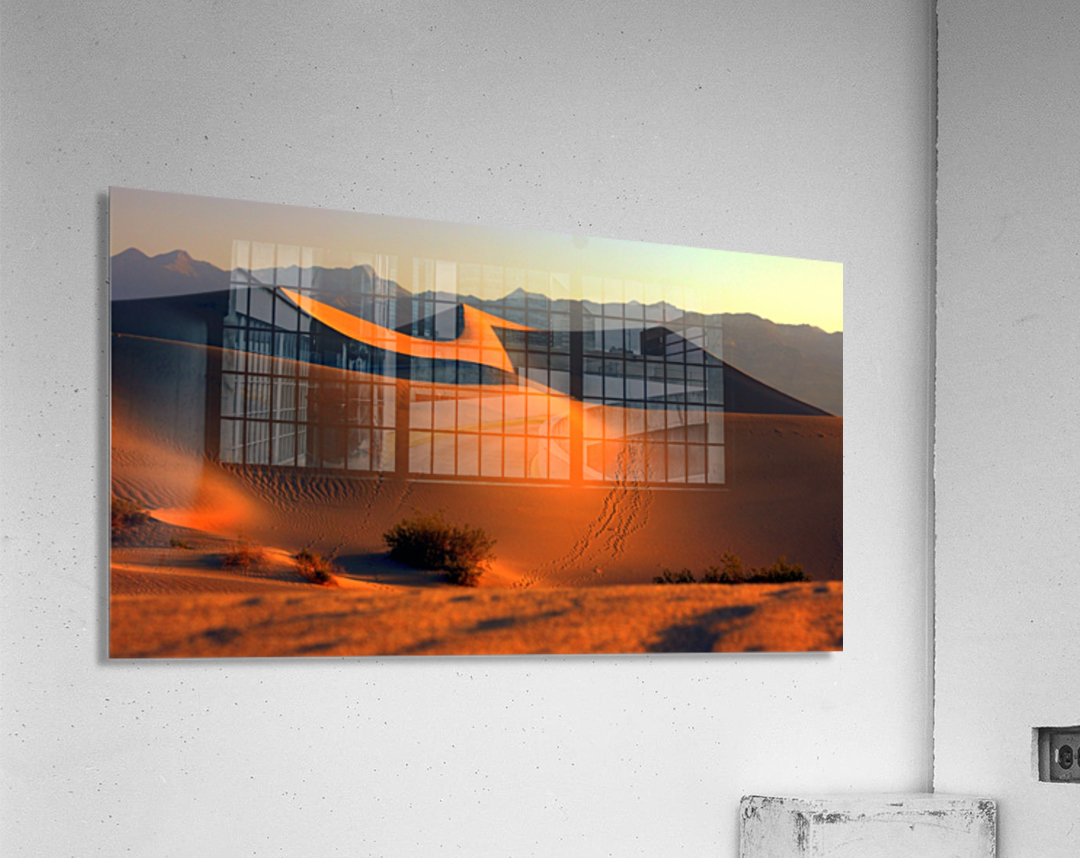 Mesquite Dunes at Dusk  Acrylic Print 