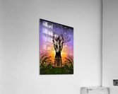 Lakeside sun on tree  Acrylic Print
