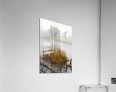 Crane on the Wing in Fog  Acrylic Print