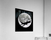 Planet moon  Impression acrylique