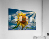 Sunny flowers    Impression acrylique