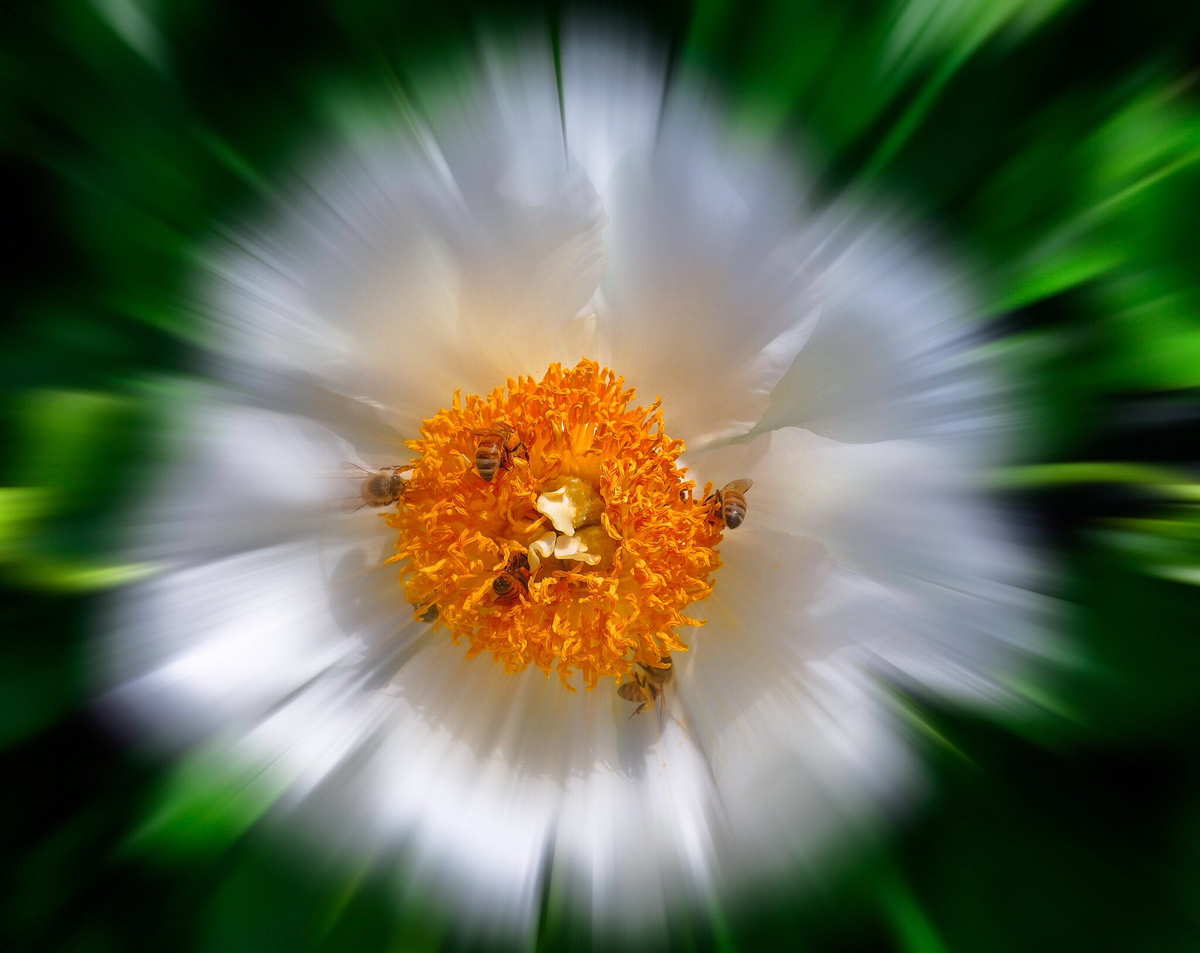 Impression de cadre personnalisé