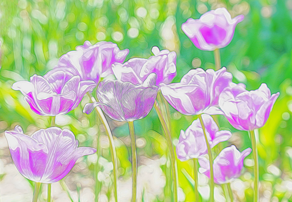 Purple tulip fantasy by Jim Radford