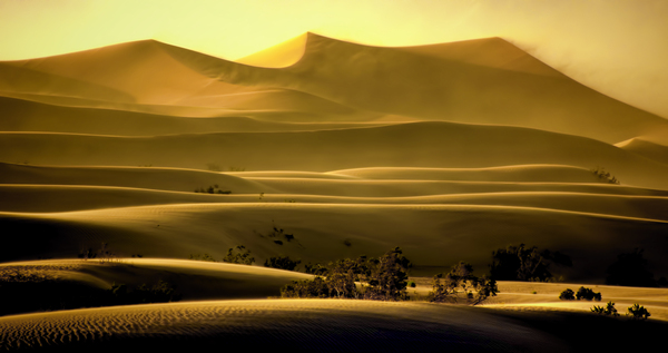 Mesquite Sand Dunes by Jim Radford