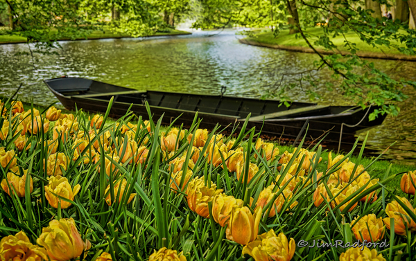Kuekenhof Gardens Holland by Jim Radford