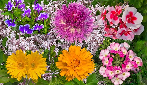 Spring Flower Mix by Jim Radford