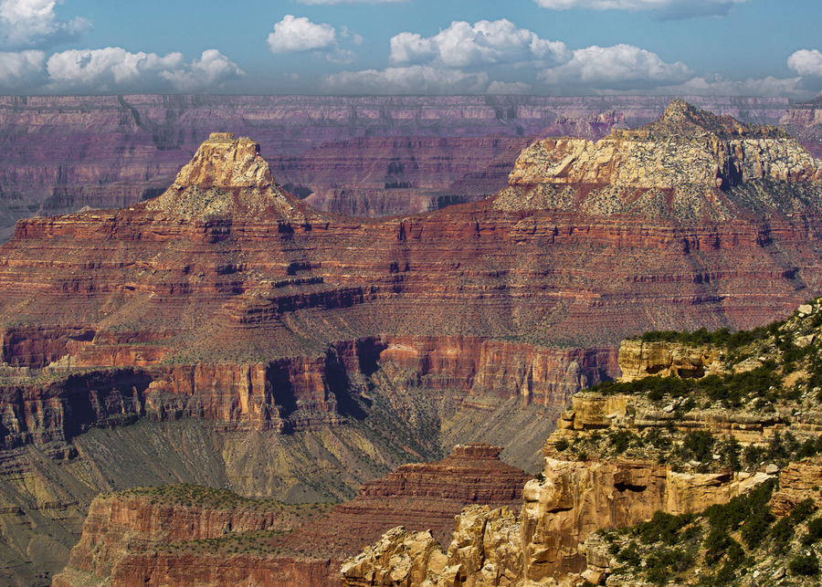  The Grand Canyon  Print