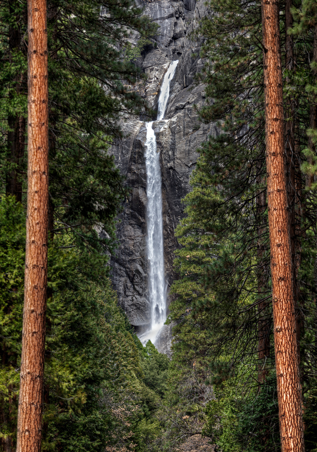  Yosemite Lower Falls  Print