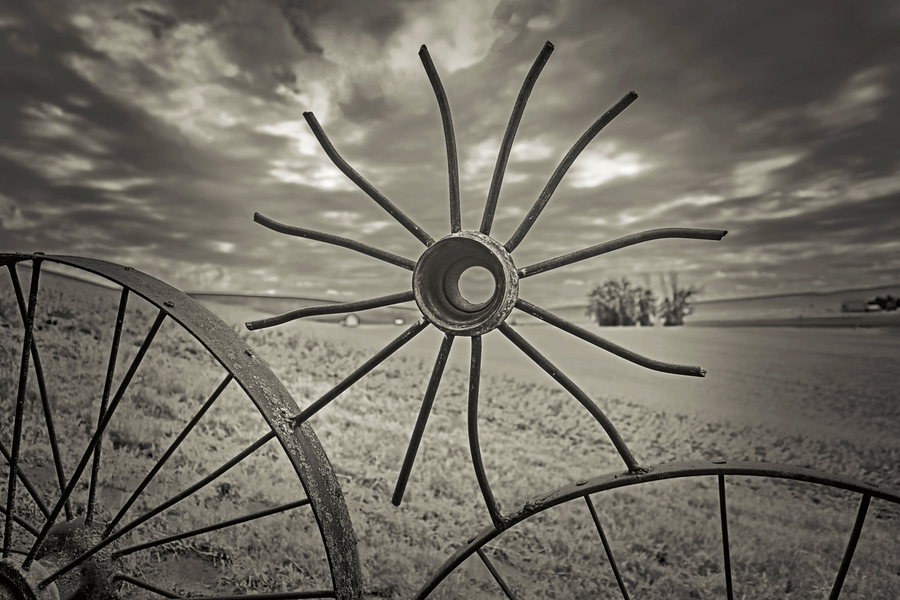 Washington farm wheel  Print