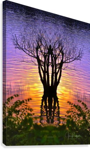 Lakeside sun on tree  Impression sur toile