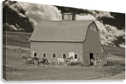 Washington horse barn  Canvas Print